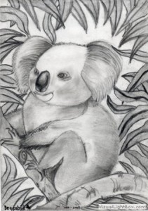 SAVE KOALA - from Austalian wild forest fire- pencil shading - kenfortes