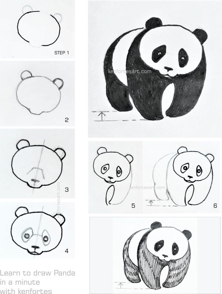 How to draw panda in one minute WITH KENFORTES EASY STEPS - PENCIL SKETCH  KIDS online art classes- drawing lessons - KenFortes visual Arts academy  Bangalore offers art courses for children adults