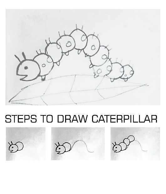 how to draw caterpillar 3 steps - kenfortes online kids art lessons (2