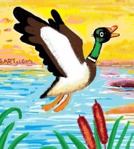 Flying-mallard-duck-in-crayons-kenfortes-beginners-online-art-courses